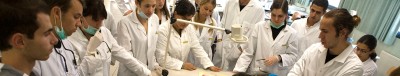 Faculty of Dentistry